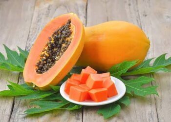 Suka Makan Buah, Ini Manfaat Rutin Makan Buah Pepaya