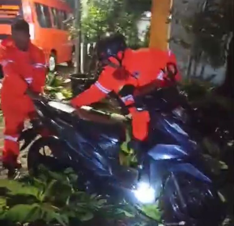 Gegara Pohon Sukun, Motor Wartawan Ringsek