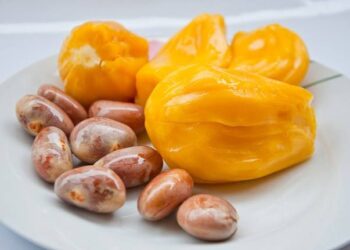 Sering Diabaikan, Biji Nangka Ternyata bisa Menjaga Kesehatan Jantung