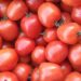 Simak! Ini Manfaat Tomat untuk Tubuh Manusia