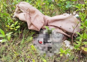 Heboh !!! Penemuan Mayat Bayi Gegerkan Warga Tlajung Udik