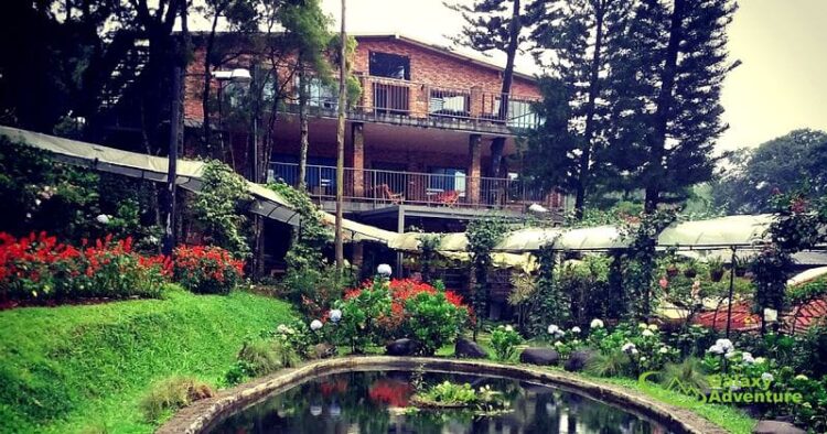 Mau Liburan Tahun Baru, Ini Rekomendasi Staycation di Puncak Bogor !!!!