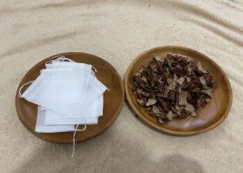 Anda Penikmat Teh ???  Coba Teh Herbal Kulit Salak, Ini Manfaatnya