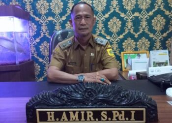 Investor di Desanya Kena Sidak Dewan, Kades: Ada Kekurangan Kecil itu Wajar