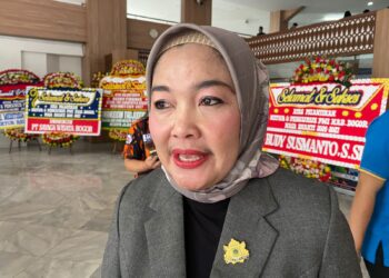 Soal Pemberhentian Ketua Kadin Kabupaten Bogor, Sintha: Dinamika Organisasi