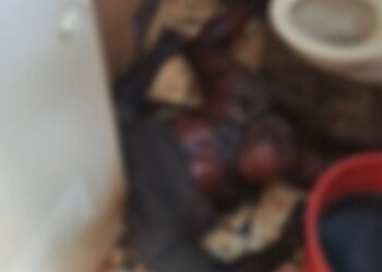 Ditinggal Keluarga, Pria Membusuk dalam Kamar Mandi