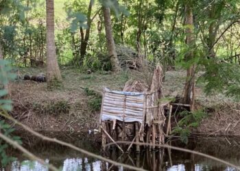 PC IMM Bogor Raya Bantah Klaim Pemkab Bogor soal Bebas BAB Sembarangan