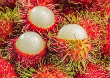 Lebih dari Sekadar Lezat! Ini 7 Manfaat Rambutan yang Baik untuk Kesehatan