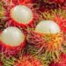 Lebih dari Sekadar Lezat! Ini 7 Manfaat Rambutan yang Baik untuk Kesehatan