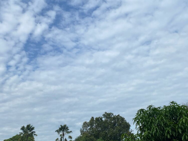 Waspada! BMKG Prediksi Hujan Lebat dan Angin Kencang di Bogor Hari Ini