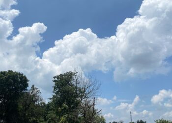 Prakiraan Cuaca Bogor Hari Ini: Pagi Cerah, Malam Hujan Lebat dan Petir!