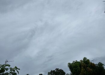 Waspada! BMKG Prediksi Hujan Petir dan Angin Kencang di Bogor Hari Ini