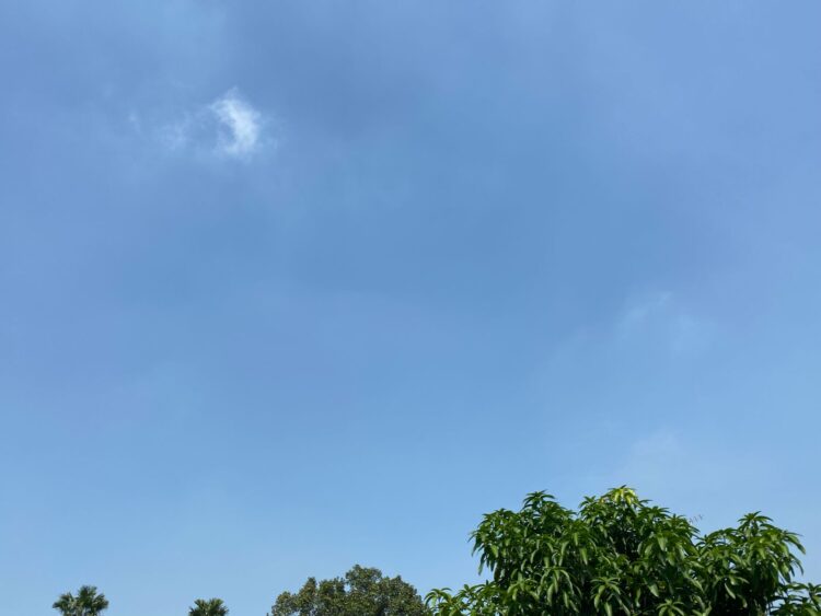 Waspada! BMKG Prediksi Hujan Lebat dan Potensi Bencana di Bogor Hari Ini