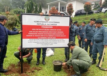 Ganggu Resapan Air, 15 Bangunan di Hulu Ciliwung Jadi Target Penertiban