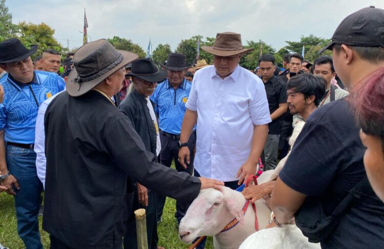 TNI AU Rayakan HUT ke-79 dengan Pesta Patok Nasional di Bogor, Peternak Domba Unjuk Gigi