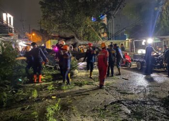 Ngeri! Pengendara Motor Tiba-tiba Dihantam Pohon Tumbang, Tiga Orang Alami Luka-luka