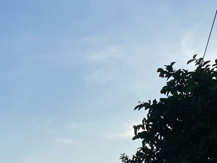 Prakiraan Cuaca Kabupaten Bogor Hari Ini, Minggu 27 April 2025