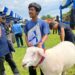Semi Kontes SKDG, Kabupaten Bogor Sabet Juara Satu Domba Bobot Terberat