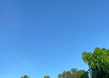 Ramalan Cuaca Kabupaten Bogor Hari Ini, 6 April 2025: Waspadai Hujan Disertai Petir