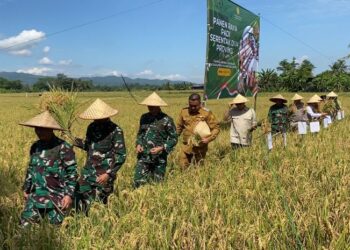Panen Raya Serentak, Bupati Bogor Soroti Pentingnya Optimalkan Lahan Pertanian Jonggol
