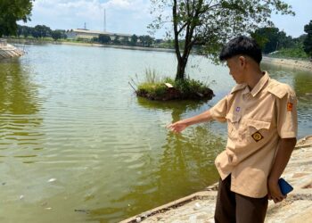 Akibat Ribuan Ikan Mati di Setu Rawa Jejed, Warga Minta Usut Pelaku Pembuangan Limbah