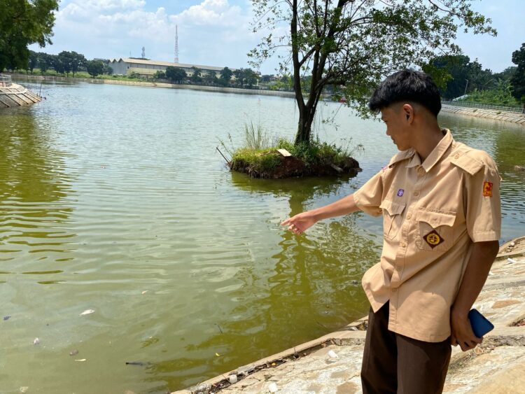 Akibat Ribuan Ikan Mati di Setu Rawa Jejed, Warga Minta Usut Pelaku Pembuangan Limbah