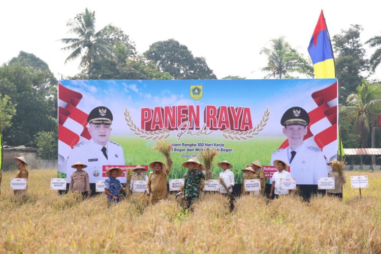 Bupati Bogor Pimpin Panen Raya di Leuwisadeng, Dorong Swasembada Pangan dan Lindungi Lahan Pertanian
