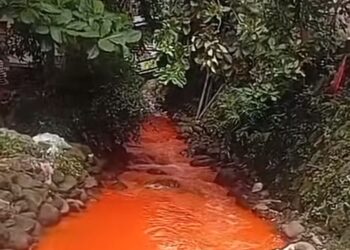 Air Kali di Citeureup Berubah Jadi Warna Oren, DLH Langsung Lakukan Sidak