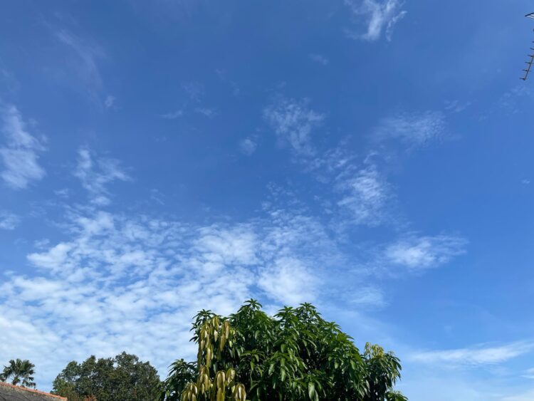 Ramalan Cuaca Kabupaten Bogor Hari Ini, Sabtu 3 Mei 2025: Siap-Siap Hujan di Sore Hari!