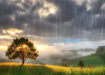 Menjaga Kesehatan di Musim Pancaroba, Tips Agar Tetap Fit