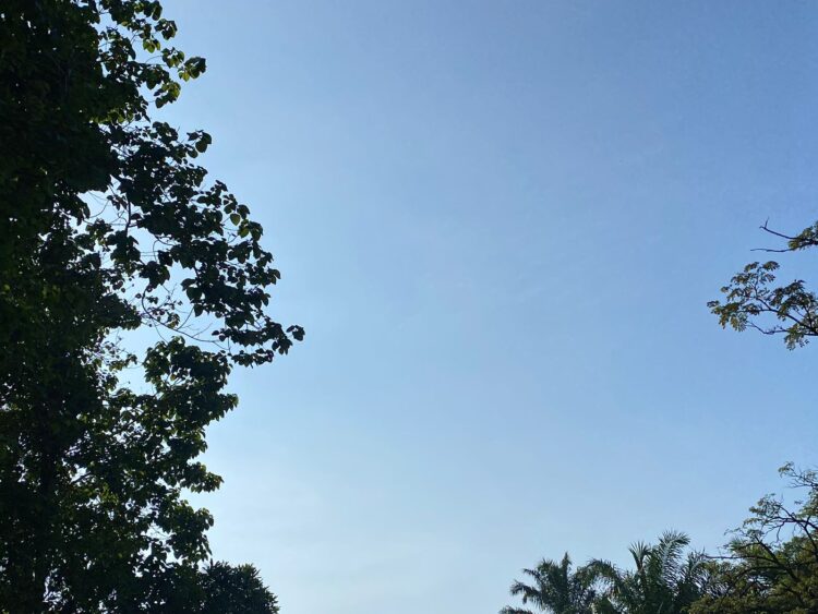 Warga Bogor Harap Siap Payung, Hujan Disertai Petir Bakal Turun Hari Ini!