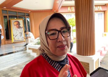 Soal Ormas BARAK di Bogor, Plt Kadinkes Tegaskan Legalitas Izin Praktik Dokter Bukan Konsumsi Publik Sepenuhnya