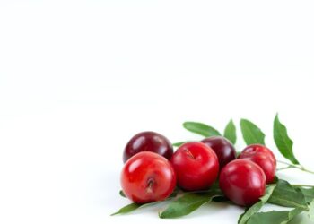 Buah Ceri: Si Kecil Merah yang Kaya Manfaat untuk Kesehatan