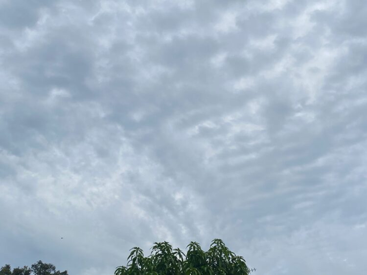 Ramalan Cuaca Hari Ini di Kabupaten Bogor, 1 Juni 2025: Waspadai Hujan Sore Hari