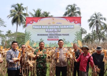 Kapolres Bogor Hadiri Panen Raya Jagung Serentak di Rumpin, Dukung Swasembada Pangan Nasional
