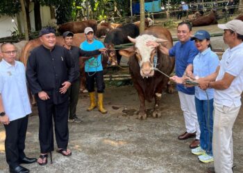 Presiden Prabowo Serahkan 58 Ekor Sapi Kurban untuk Warga Babakan Madang