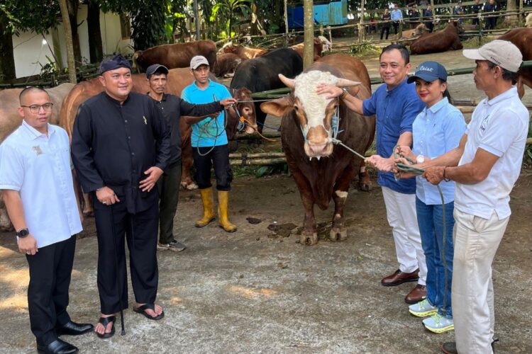 Presiden Prabowo Serahkan 58 Ekor Sapi Kurban untuk Warga Babakan Madang