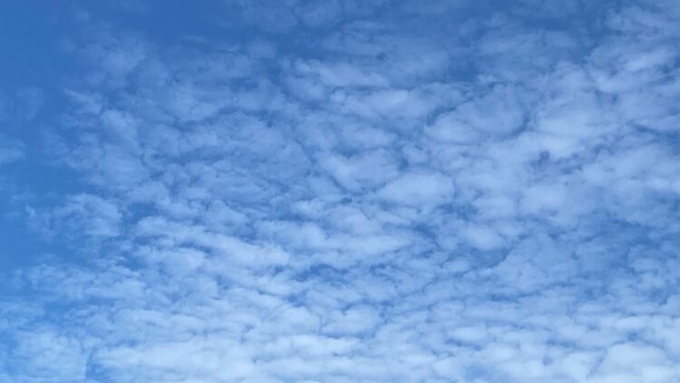 Prediksi Cuaca Kabupaten Bogor Hari Ini, 20 Juli 2025: Cerah Berawan hingga Malam