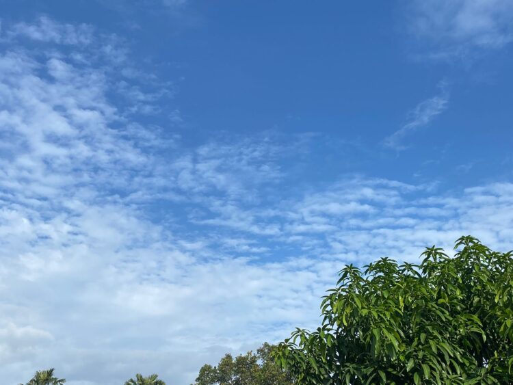 Prediksi Cuaca Kabupaten Bogor Hari Ini, 27 Juli 2025: Pagi Cerah, Sore Berpotensi Hujan Petir