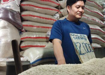 Harga Beras Premium di Pasar Cibinong Naik, Cuaca Buruk Jadi Penyebabnya?