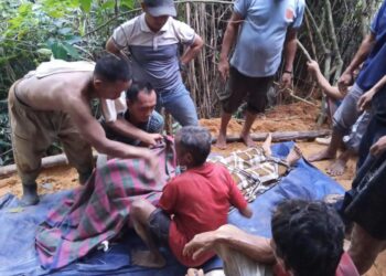 Penambang Emas Ilegal Tewas Tertimbun Longsor di Tanjungsari Bogor