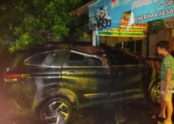 Pohon Tumbang Timpa Mobil di Gunung Putri, Satu Orang Luka Ringan