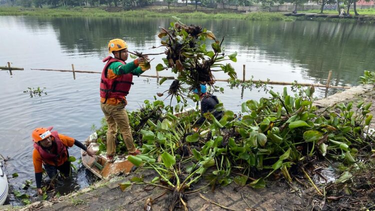 Setu Gunung Putri Dipenuhi Eceng Gondok, Relawan Bergerak Bersihkan dan Cegah Banjir