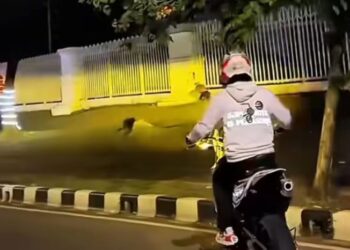 Pemkab Bogor Respons Video Viral Tidak Senonoh di Pakansari, Anwar: Tangkap Pelaku