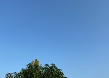 Prakiraan Cuaca Bogor Hari Ini: Cerah Pagi, Hujan Petir Sore