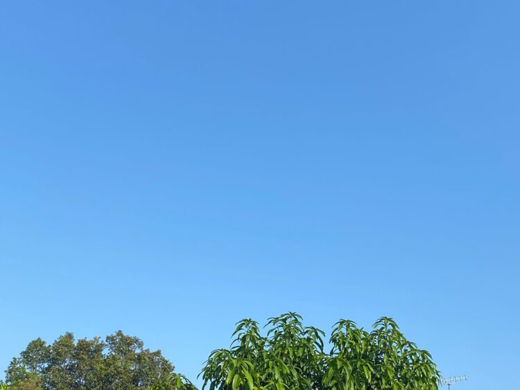 Prediksi Cuaca Kabupaten Bogor Hari Ini: Waspada Hujan Siang hingga Malam