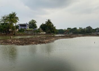 Habitat Ikan Turut Kena Imbas Dampak Revitalisasi Situ Tlajung Udik