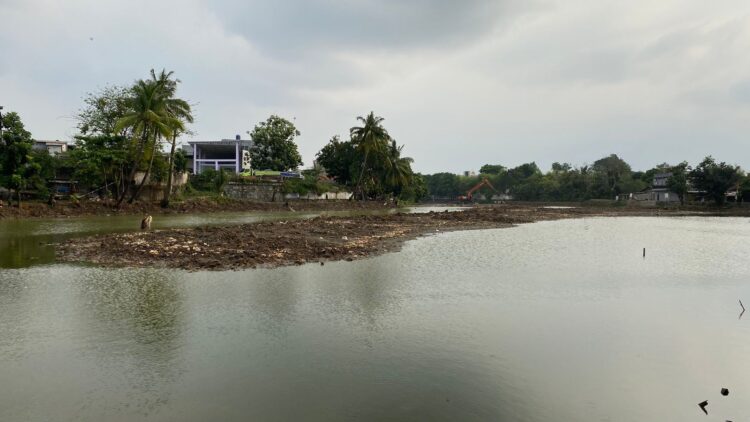 Habitat Ikan Turut Kena Imbas Dampak Revitalisasi Situ Tlajung Udik
