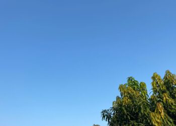 Prediksi Cuaca Kabupaten Bogor Hari Ini, Sabtu 2 Agustus 2025: Cerah Berkabut Sepanjang Hari