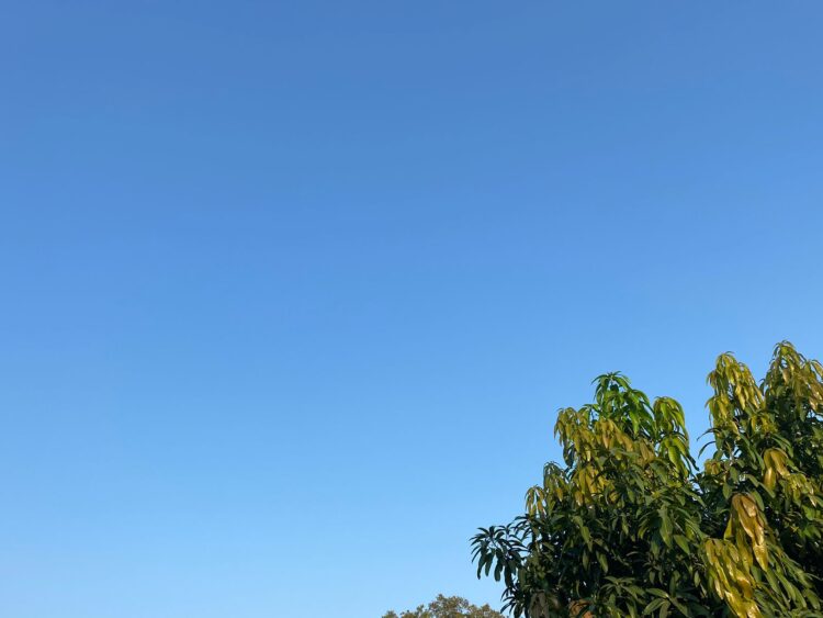 Prediksi Cuaca Kabupaten Bogor Hari Ini, Sabtu 2 Agustus 2025: Cerah Berkabut Sepanjang Hari